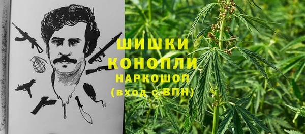 дмт Армянск