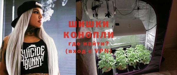ГАЛЛЮЦИНОГЕННЫЕ ГРИБЫ Балахна